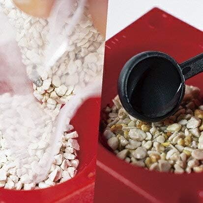 Amazon 聖新陶芸 Green Toy グリーントイ かわいいサボテン ペットボトルで育てる栽培セット 栽培キット オンライン通販