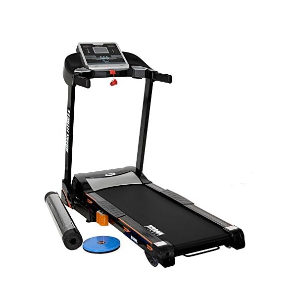 assault rowing machine