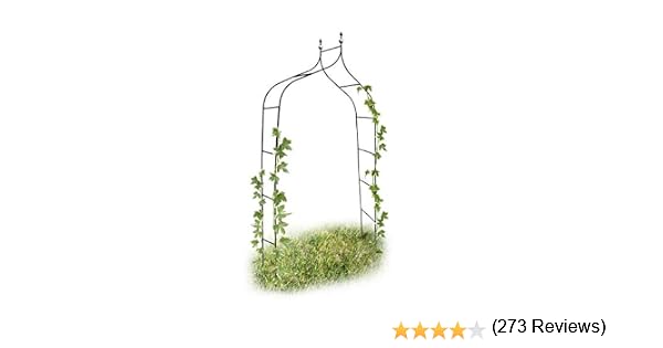 Relaxdays 10017904 - Arco para trepadoras, 1.70 x 2.4 m, Color ...