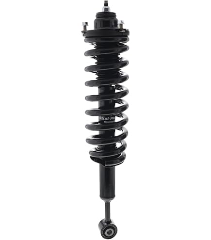 Amazon.com: KYB 349185 Excel-G Gas Shock, Black : Automotive