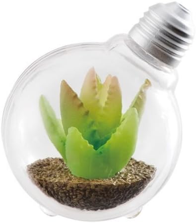 Amazon 豆電球テラリウム 3 アロエブレビフォリア 単品 カプセル玩具 おもちゃ