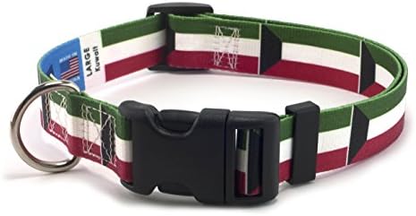 Kuwait Dog Collar | Kuwait Flag | Quick-Release Buckle | Made in NJ, USA | for Large Dogs