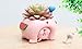 Youfui Adorable Succulent Planter Pig Flower Pot with Drainage Hole - Pencil Brush Holder - Cute Resin Decorative Garden Planter for Indoor Plants, Home Decor Gift