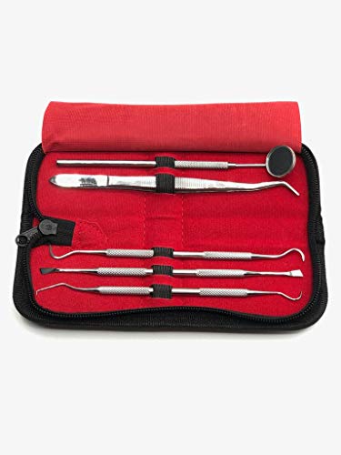 image for GENERIC Dental Tools, 5 Pack Teeth Cleaning Tools Stainless Steel Tart