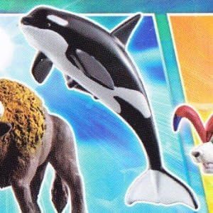 Beasts War Great Animal Kaiser God Beast Book 2 [8. killer whale (copper rare) ¦ accessory card] (single)