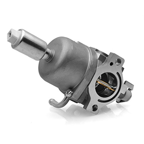 Radracing 591736 Carburetor Carb Kit Compatible 594599 794136 591736 796184 698787 699900 699521 792369 790032