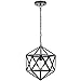 Light Society Geodesic Pendant Light, Matte Black, Geometric Vintage Modern Industrial Lighting Fixture (LS-C110)