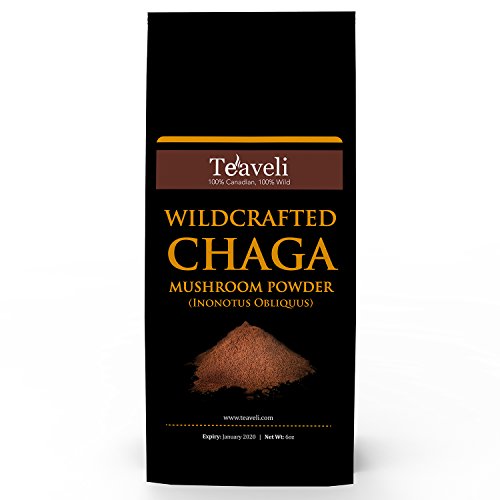 Premium Chaga Mushroom Powder & Tea| Bulk Pack| Organic, Ethically Wildcrafted & Handpicked f/Live Birch Trees in the Laurentian Forests of Canada| Wild Harvested - 6 ounces (170 grams)