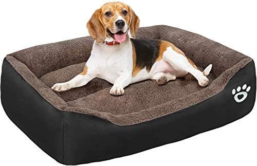 best dog beds washable