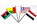 Northwest African World Flag SET-20 Polyester 4