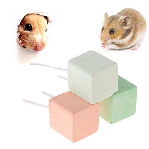 5 STEBCECE+Hamster+Grinding+Squirrel+Chinchilla