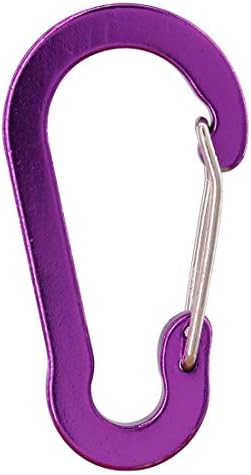 Gisdanchz 50 x 26mm Aluminum Mini Small Carabiner Keychain for EDC Camping Tent (Not for Climbing)