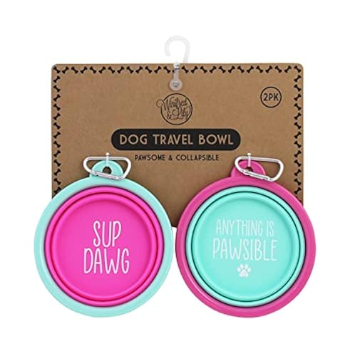 Winifred Lily Pack of Silicone Collapsible Water Bowl for Cats