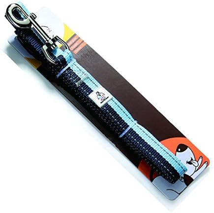 "Clearance Sale" SMARZ PET Reflective Dog Leash, Medium Size, Length 4โ-5โ, Nylon Leash for Dogs, REACH Material, Blue