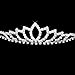 TOOGOO(R) Wedding Women Girl Rhinestone Headband Head Crown Princess Jewelry