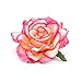 CellElection Two Methods of Use Rose Flower Hair Clips Flower Brooches Pin For Women Girls Lady(12 Pieces)