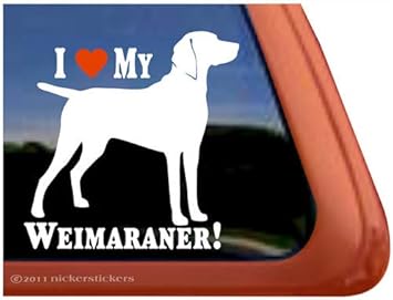 i love my weimaraner