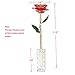 DEFAITH 24K Gold Dipped Real Rose Gifts, Great Wedding Anniversary Valentines Day Love Gift for Her Wife Girlfriend Spouse, with Stand (Red w/Crystal 2)