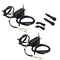 labwork Dual Lead Wire Ignition Coil 12Volts
