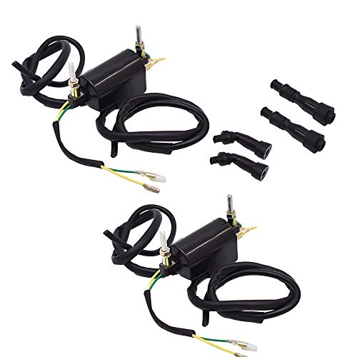 labwork Dual Lead Wire Ignition Coil 12Volts