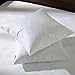 20x20 Square Down Feather Pillow Inserts-Set of 2-100% Cotton Fabric- White