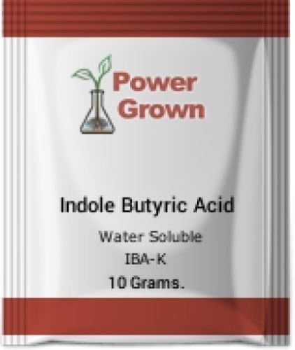 Indole butyric Acid 99.4% 10 Grams. Water Soluble with Instructions Authentic Made in America by Power Grown