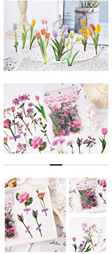 Molshine 240pcs PET Transparent Decorative Stickers -Flowers Plant Series Decals for DIY,Personalize,Bullet Diary Decoration,Laptops,Scrapbook,Luggage,Cars,Books -6 Packs of Different Styles