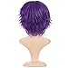 Ecvtop Wigs for Mens' Death Note Male Short Hair Wig Costume Cosplay Wigs (Purple)