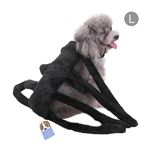 Haustier Halloween Kostüm Hund Spinne Harness Clothes Requisiten