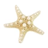 Dxhycc Stylish Real Starfish Special Sea Lover Hairpin Star Hair Clip Gift 1 pc Beige