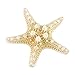 Dxhycc Stylish Real Starfish Special Sea Lover Hairpin Star Hair Clip Gift 1 pc Beige