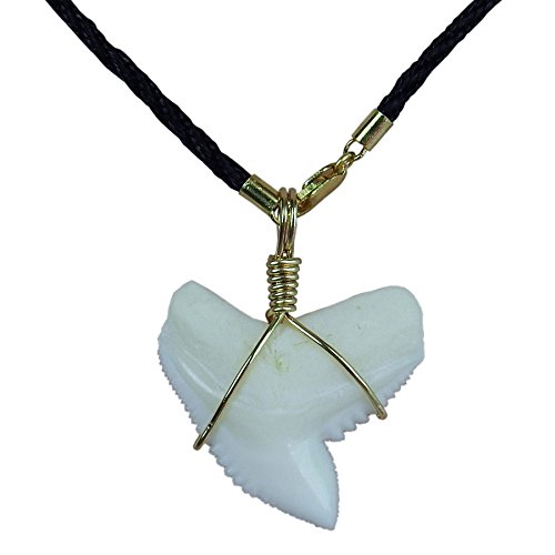 Gemshark real tiger shark tooth necklace 1.2 inch 14 k gold wrapp…