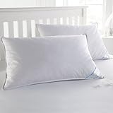 Sweet Home Collection Goose Down and Feather Bed Pillow 2 Pack - Soft and Comfortable Quality Bedding 20