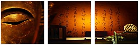 SimonfineUs 3 panel Wall Art Buddha Statue Lotus seeds and Buddhist scriptures Painting Pictures Print On Canvas For Home Decor (16x16inx3pcs,Wood Framed)