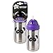 Tommee Tippee Stainless Steel Tuff Stuff Straw Cup, Insulated, BPA-Free, Internal Volume Markings, 1 Count (Designs Will Vary)