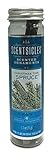 ScentSicles, Fresh Cut Spruce - 6pc