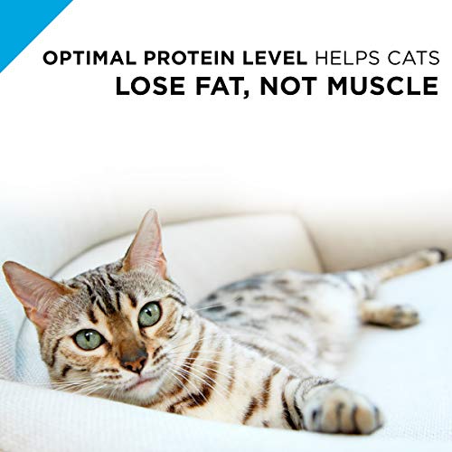 PURINA PRO PLAN WEIGHT CONTROL PATE WET CAT FOOD, SPECIALIZED WEIGHT MANAGEMENT TURKEY & RICE ENTREE – (PACK OF 24) 3 OZ. PULL-TOP CANS