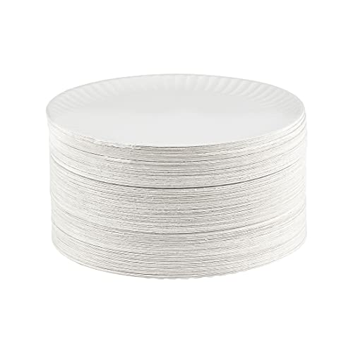 PARTY BARGAINS 9 Inch Uncoated White Paper Plates (300 Count