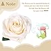 SOLEDI Silk Rose Cream 10 Heads Artificial Flower French Rose Fake for Bridal Bouquet Wedding Living Room Table Home Garden Decoration