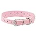 Didog - Cute PU Leather Dog Collar - Rhinestone Flower Pattern Studded - 1 Inch Width Fit Small and Medium Dogs,Pink 12-15