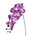 UEETEK Simulation Butterfly Orchid Artificial Flower Plant Home Decoration (Purple)