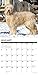 Just Goldendoodles 2020 Wall Calendar (Dog Breed Calendar)