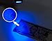 The Paragon Blacklight Flashlight - LED UV Light, Pet Stain Detector