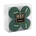 Root Scented Tealight Candles, Box of 8, Bayberry