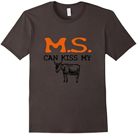 Men's Multiple Sclerosis MS Awareness Support T-Shirt 2XL Asphalt