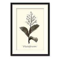 Herbs Theme Wall Art Black Framed Canvas Prints Home Decoration for Bedroom,Livingroom Ready to Hang - 23x31 inches