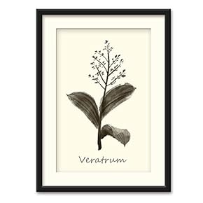 Herbs Theme Wall Art Black Framed Canvas Prints Home Decoration for Bedroom,Livingroom Ready to Hang - 23x31 inches