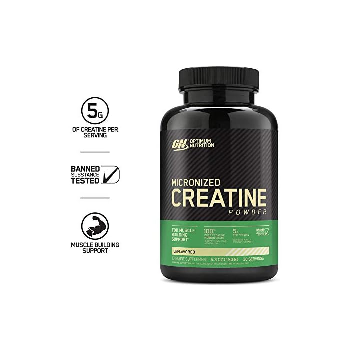 Optimum Nutrition Micronized Creatine Monohydrate Powder