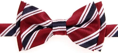 Retreez Preppy Stripe Pattern Woven Microfiber Pre-tied Boy's Bow Tie