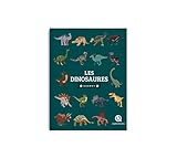 Carnet dinosaures by